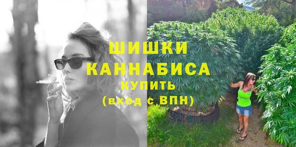 мескалин Заводоуковск