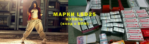 мескалин Заводоуковск