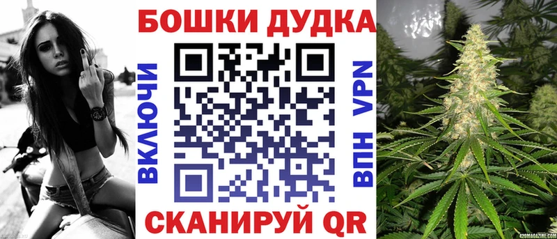 Купить где  Енисейск  Бошки марихуана Amnesia 